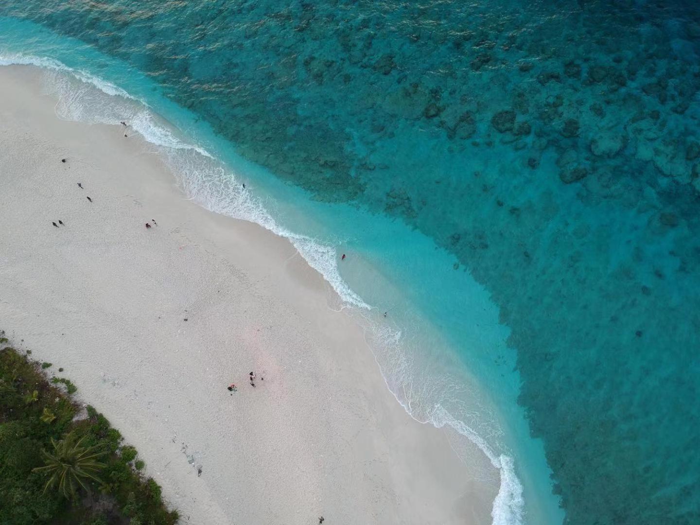 Tiger Shark Residence & Dive Fuvahmulah Екстериор снимка